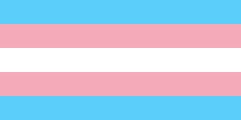 220px-Transgender_Pride_flag.svg.png