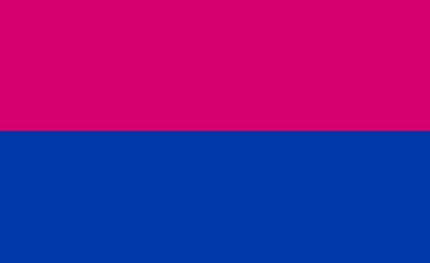 straight__cisgender_gender_binary_pride_flag__8_3__by_flagsforcishets-dacot84.jpg